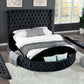 Hazel Queen Size Tufted Upholstery Storage Bed made with Wood in Black