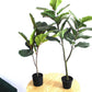 Simulation Plant Qin Yerong Living Room Decoration With Different Green Plants Potted Plants