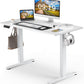 Electric Height Adjustable Standing Desk,Sit to Stand Ergonomic Computer Desk,White,48'' x 24"