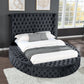 Hazel Queen Size Tufted Upholstery Storage Bed made with Wood in Black