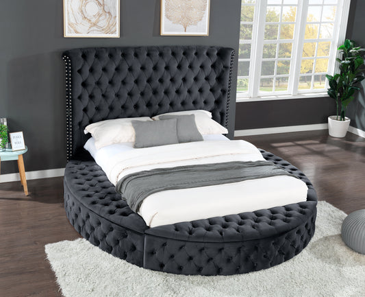 Hazel Queen Size Tufted Upholstery Storage Bed made with Wood in Black