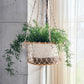 Jhuri Single Hanging Basket-1